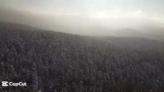 The Maple Ridge Sasquatch: Canada&rsquo;s Forgotten Legend