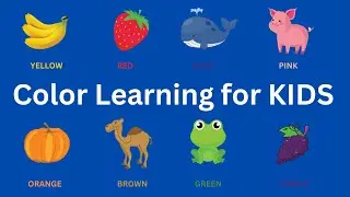 Color Learning for Toddlers: Fun and Interactive Videos | Kuku Cartoons