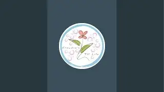 Ramsey Succulents Unboxing