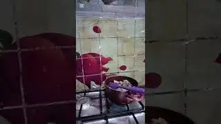 تعالي نعمل احلي طاجن تورلي❗ (لحمه بالخضار)❗من احلي الطواجن اللي ممكن تعملها سهله وسريعه وطعمها تحفه