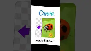 Canva Magic Expand: Extend Images Instantly #canva