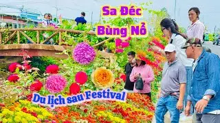 Sa Đéc| Làng Hoa Sa Đéc kẹt xe rần rần đường mới trước Tết 2026|TrNQ
