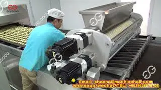 Gingerbread Cookies Making Machine High Efficiency and Large Output