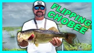 Flipping & Punching Mats For BIG BASS! Bass Fishing Lake Okeechobee.