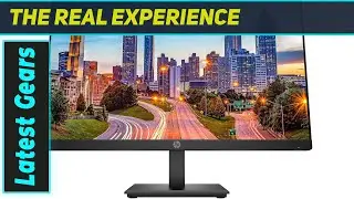HP P224 2-Pack: The Amazing Dual Monitor Setup for Peak Productivity!