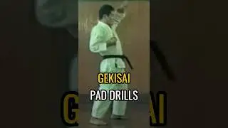 Gekisai Pad Drills #gojuryu #bunkai