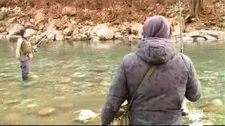 Pesca il problema dei cormorani e degli aironi Antenna 2 TV 27022012.mpg