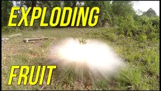 Exploding Fruit with the Fostech Stealth Raptor