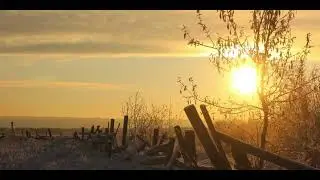 Feel of danger - Sunny day (2026)