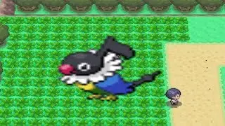 How to find Chatot in Pokemon Diamond and Pearl