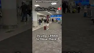 Government of Alberta is paying C$5000 Move there !! 🤑🇨🇦 #movetoalberta