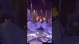 Beautiful white birds dancers | White feather Wings dance show or meet and greetI info@jmstrings.com
