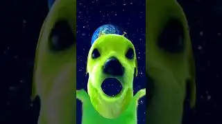 6 de dezembro de 2025