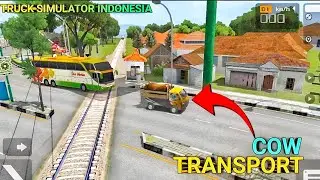 Cow Transport Milk Dairy