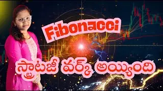 Fibonacci స్ట్రాటజీ వర్క్ అయ్యింది&ndash; Full Explanation