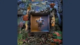 Anima