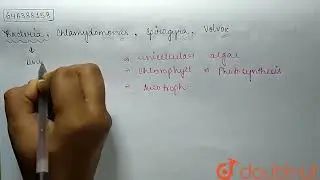 Bacteria, Chlamydomonas, Spirogyra, Volvox. | CLASS 6 | CLASSIFICATION OF LIVING BEINGS | BIOLO...