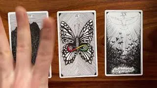 Heightened senses! 20 March 2021 Your Daily Tarot Reading with Gregory Scott