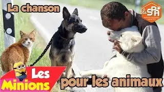 La chanson pour les animaux