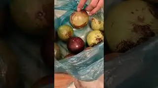 milk fruit #fruit #shortvideo