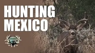 Headhunter Chronicles - Mexico