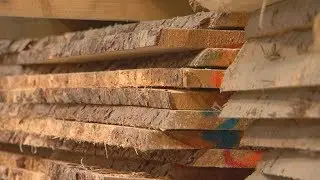Schmidt & Thürmer - Die Holz-Profis