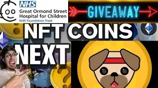INSANE NEW NFT CHARITY TOKEN PugLife W/ UTILITY!!! 500 Dollar Giveaway!!!