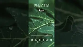 Relaxing The Tranquil Rain : Nature sounds