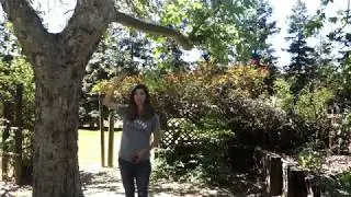 How To Hang a Tree Swing With Rhino 5FT StrapMate - Tree Swing Straps