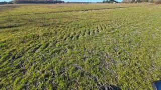 Metal Detecting In Virginia