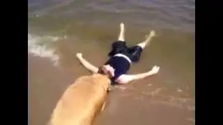 Dog Saves Child (kid pretends to be drowning)