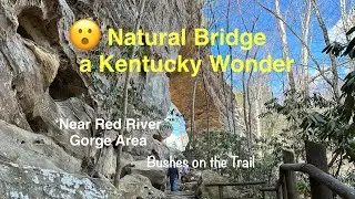 Natural Bridge: A Kentucky Adventure for Everyone ⛰️
