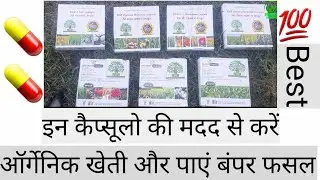 कैप्सूल कल्चर फार्मिंग संपूर्ण जानकारी | कैसे करें कैप्सूल कल्चर फार्मिंग | capsule culture farming