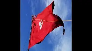 Romería a la Virgen del Pueyo 2019 Fotos