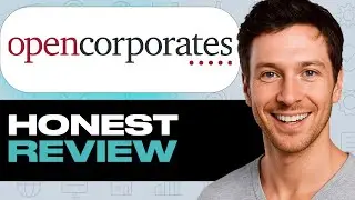 Обзор OpenCorporates: особенности, сильные и слабые стороны (база данных компаний)