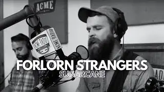 Forlorn Strangers - 