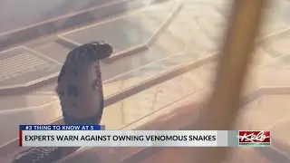 Experts warn against owning venomous snakes as pets