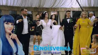 Alina Balaceanu si Formatia Dinoisverna Colaj Banat 2026 Nunta Colaj Joc Muzica de Petrecere 