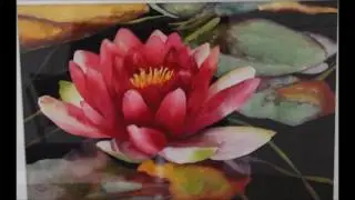 2017 Judi Miller Show in Studio 2