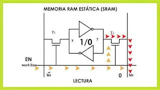 RAM ESTÁTICA Y RAM DINÁMICA