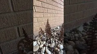Delicate Metal Ferns So Good