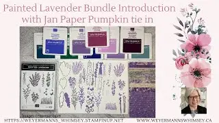 Painted Lavender bundle introduction with Jan 2024 Paper Pumpkin tie in