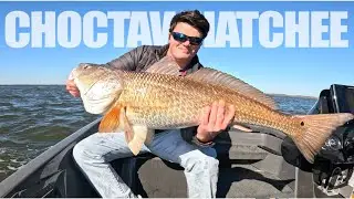 Fishing Choctawhatchee Bay for BULL Redfish (30a Inshore)