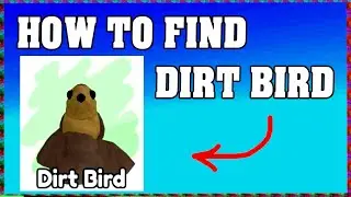 How To Find DIRT BIRD in FIND THE BIRDS ROBLOX 🦜 [walkthrough]