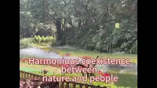 Harmonious coexistence between nature and people