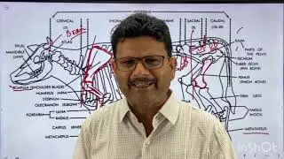 Normal temperature l dr umar khan