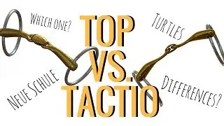 Key Differences Between the Neue Schule Turtle Top and Neue Schule Turtle Tactio