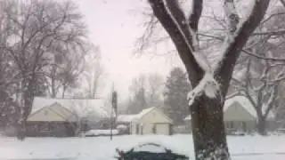 Fuck You Snow