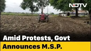 Minimum Support Price For Crops Raised Amid Row Over Farm Bills