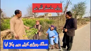 Master Kulo ki chori pakri Gai | pothwari Drama